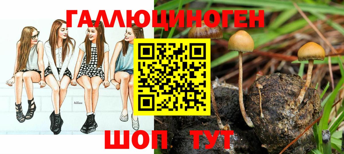 Псилоцибиновые грибы ЛСД  Вход с VPN  Псилоцибиновые грибы MAGIC MUSHROOMS  Гай 