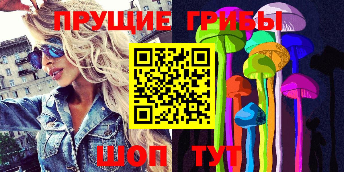Псилоцибиновые грибы GOLDEN TEACHER Гай