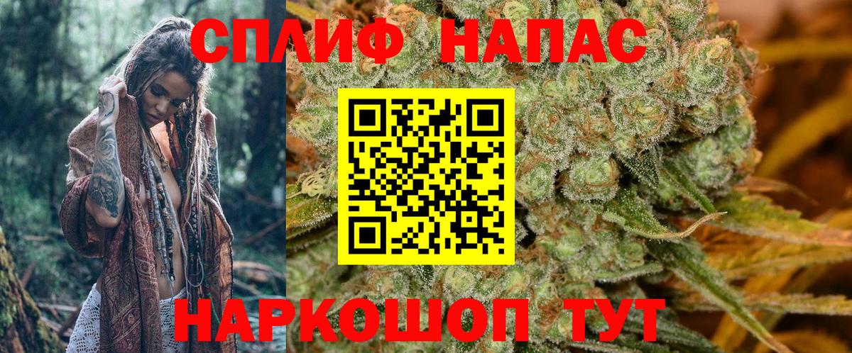 Марихуана планчик Гай